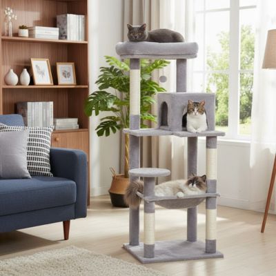 arbre a chat gris pale salon plusieurs chats