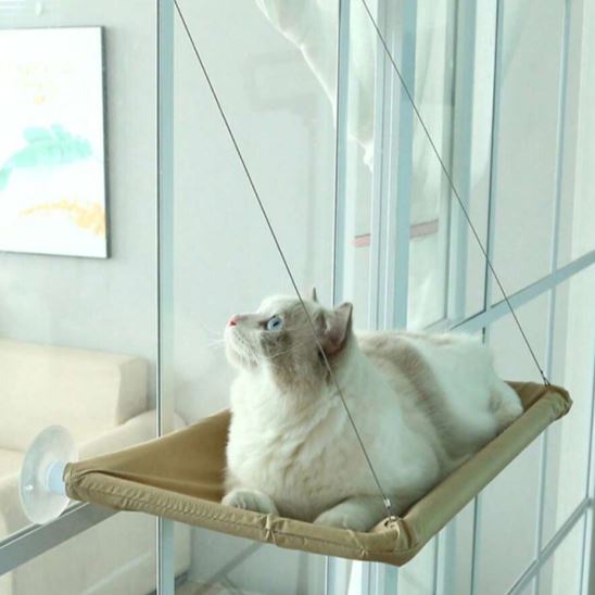 hamac chat accroche sur fenetre
