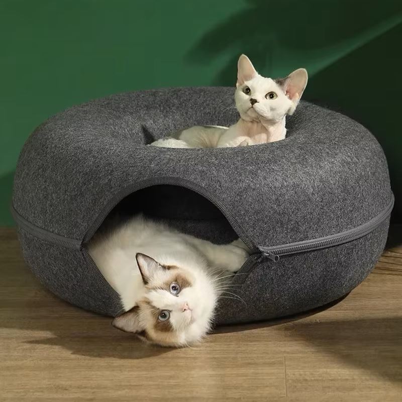 lit-pour-chat-gris-deux-chats-couches