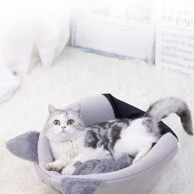 panier pour chat minou dessus