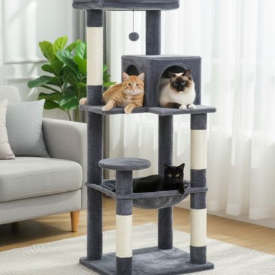 arbre a chat gris fonce salon plusieurs chats