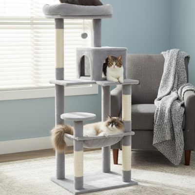 arbre a chat gris pale plusieurs chats
