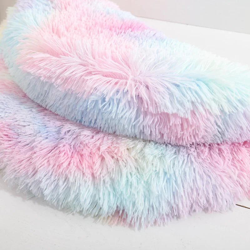 coussin chat plusieurs couleurs