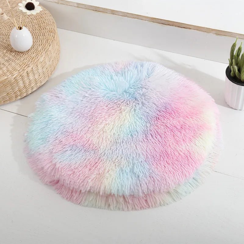 coussin chat plat