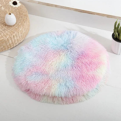 coussin chat plat