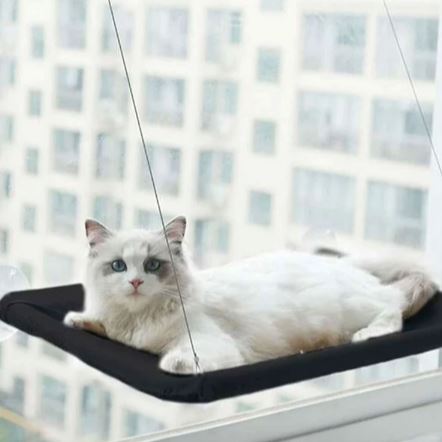 hamac chat fenetre avec fil