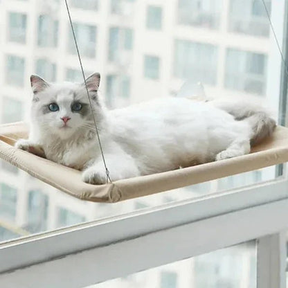 hamac chat sur fenetre