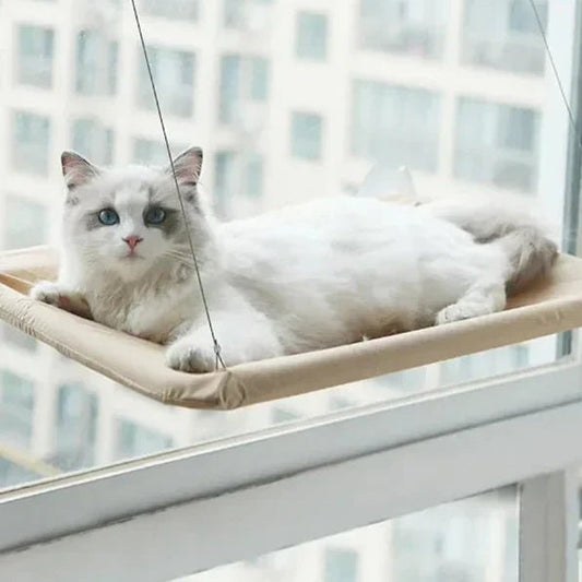 hamac chat sur fenetre