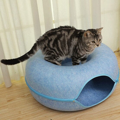 lit pour chat assis dessus