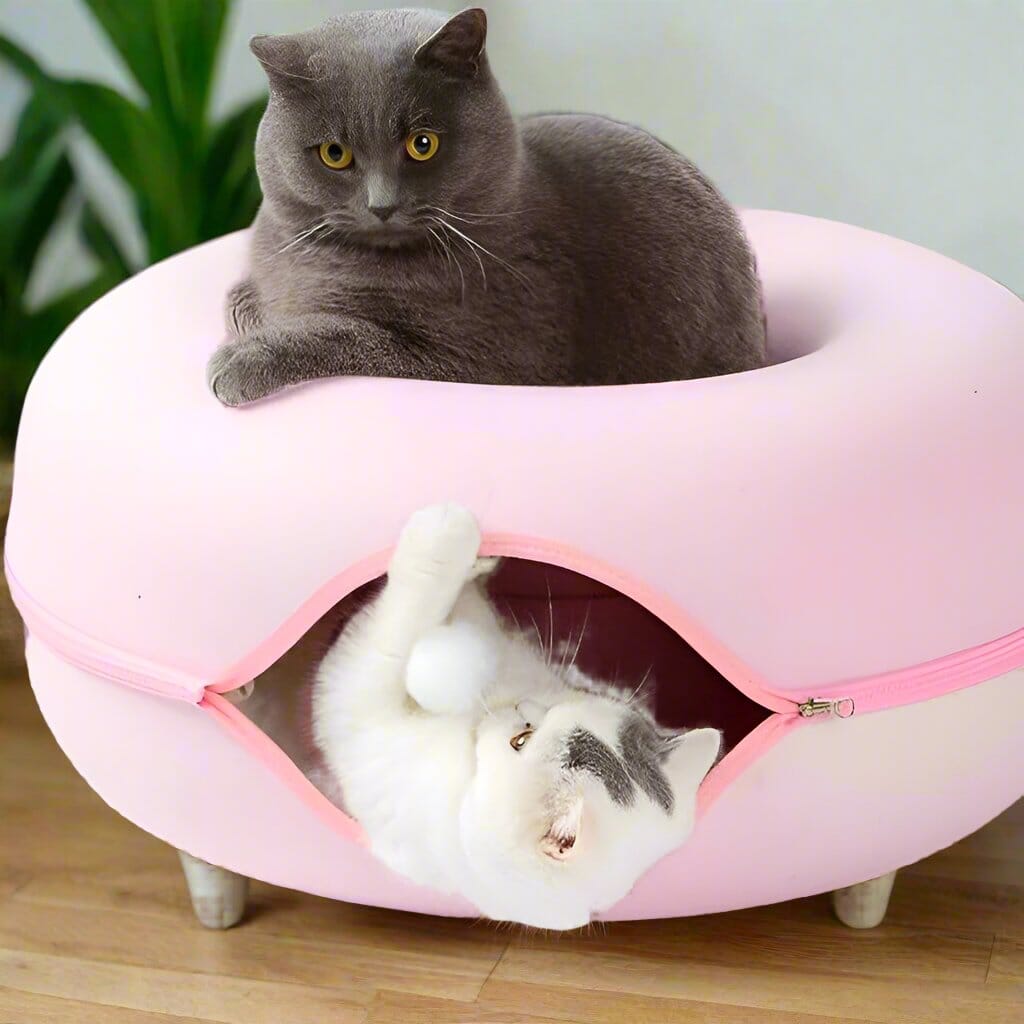 lit pour chat deux chats
