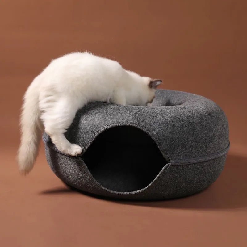 lit pour chat gris monte dessus