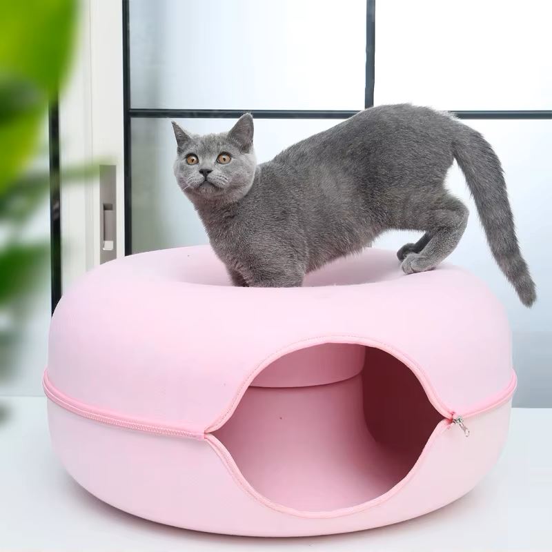 lit pour chat rose chat dessus