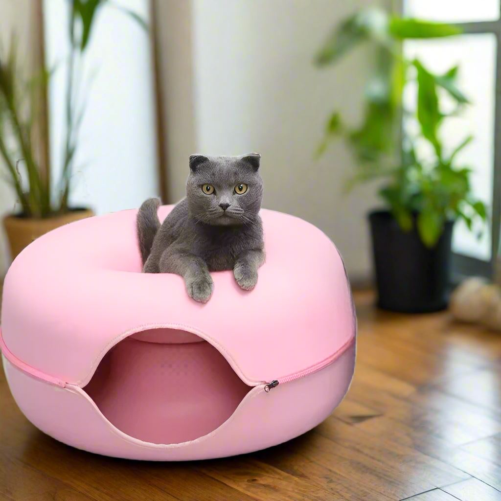 lit pour chat rose chat gris dessus