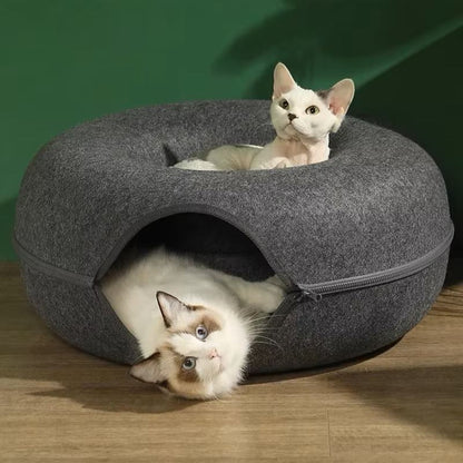 lit-pour-chat-gris-deux-chats-couches