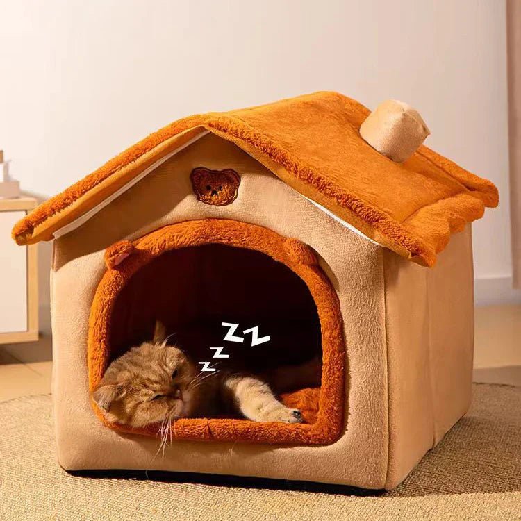 maison chat beige dort dedans
