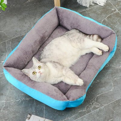 panier chat bleu ciel
