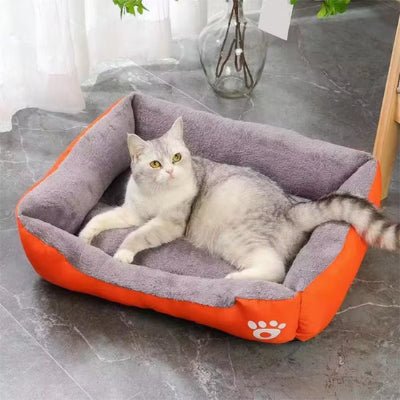 panier chat orange