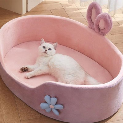 Panier chat rose chat nous regarde