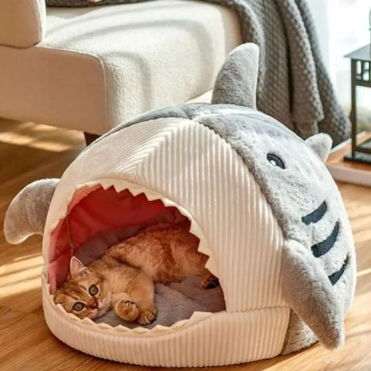 panier pour chat dans bouche requin