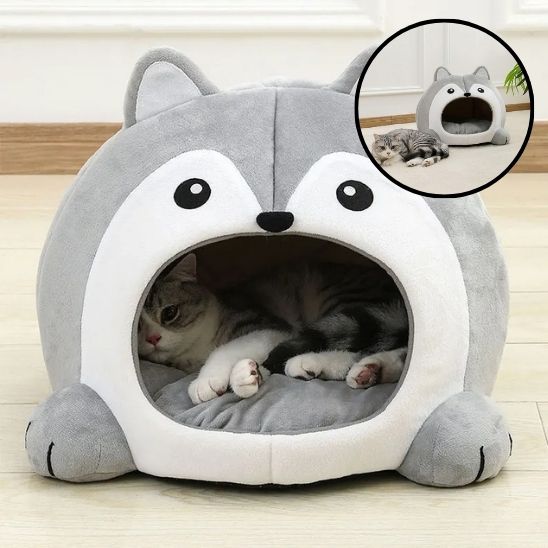 panier pour chat dedans la grotte