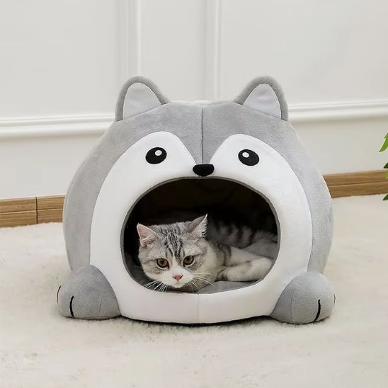 panier pour chat dort interieur