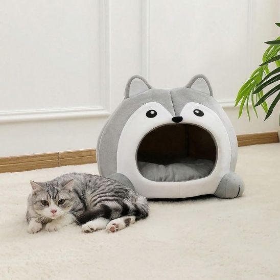 panier pour chat estdehors