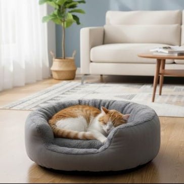 panier pour chat gris chat tigre