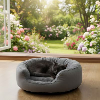 panier pour chat gris dort