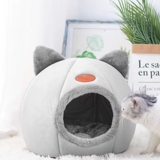 panier pour chat grotte vide
