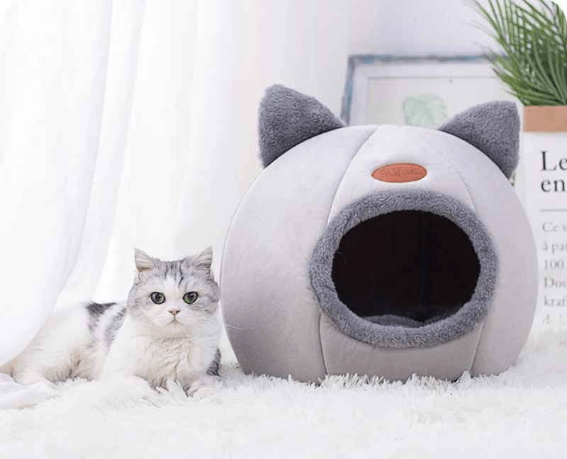 panier pour chat minou couche a cote