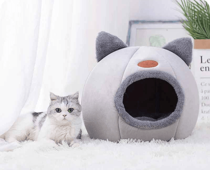 panier pour chat minou couche a cote