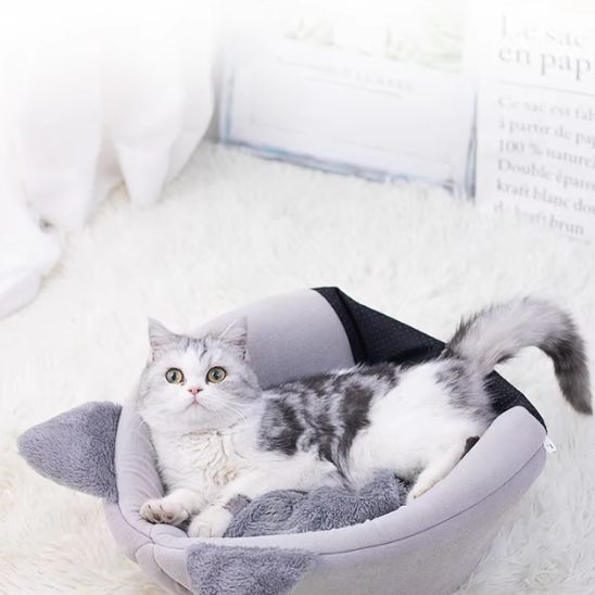 panier pour chat minou dessus
