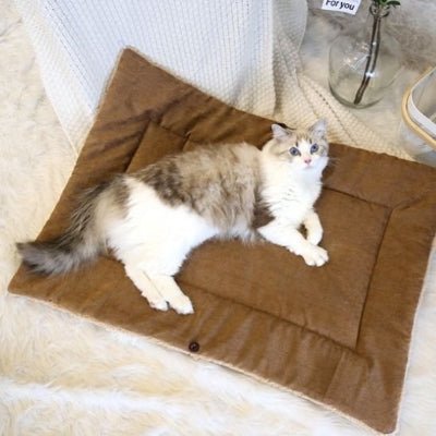 Panier pour chat rop bien