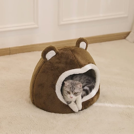 panier pour chat video