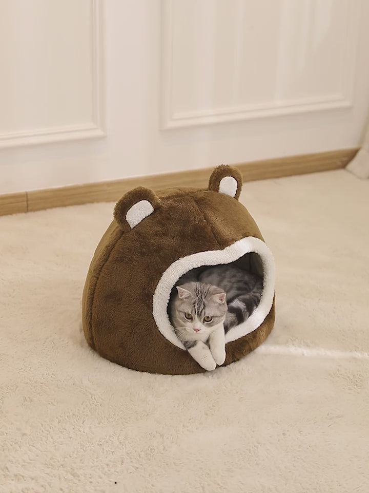panier pour chat video
