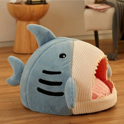 requin bleu-groyye-chat