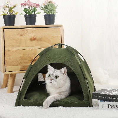tente pour chat verte